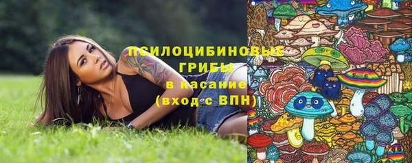 хмурый Нязепетровск
