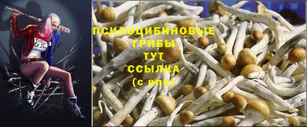 СК Няндома