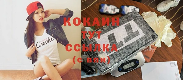 СК Няндома