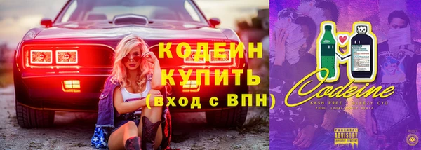 СК Няндома