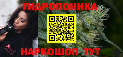 ешки Можга