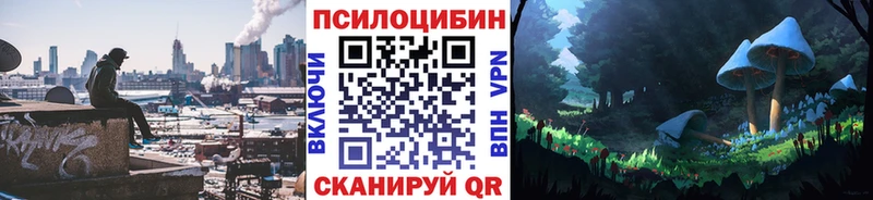 магазин продажи   mega   Псилоцибиновые грибы Psilocybe  Урус-Мартан 