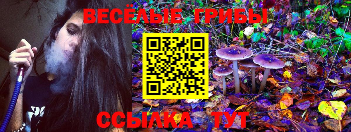 Псилоцибиновые грибы Magic Shrooms Урус-Мартан