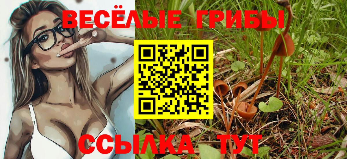 Урус-Мартан  Галлюциногенные грибы GOLDEN TEACHER  Псилоцибиновые грибы GOLDEN TEACHER  Вход с VPN 