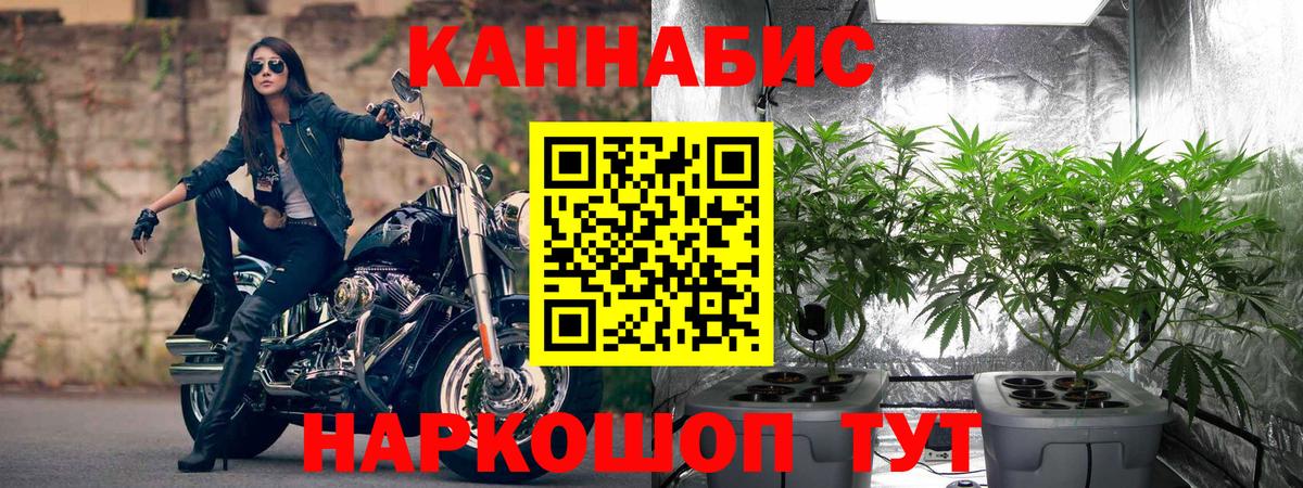 Урус-Мартан  Каннабис план  Шишки марихуана тримм  Вход с VPN  Канабис марихуана 